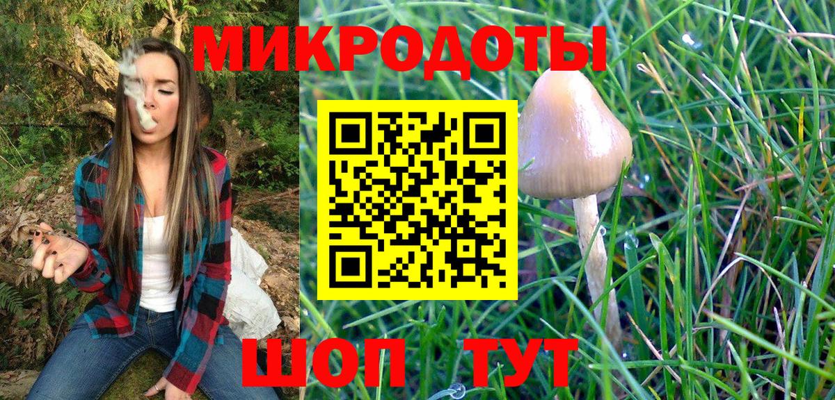 Псилоцибиновые грибы мицелий Азнакаево