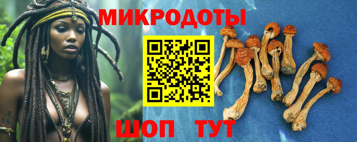 Азнакаево  Галлюциногенные грибы Psilocybine cubensis  Вход с VPN 